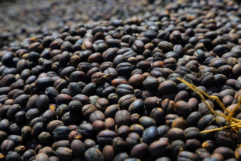 Ethiopia Gesha 1 Natural Gesha  - 33916 - 30.0 kg GrainPro Bags - SPOT SHANGHAI