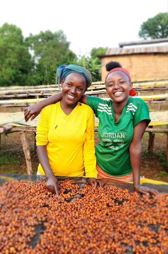 Ethiopia Guji 3 Natural Anaerobic Hambela Buku Sayasa - 32091 - Ecotact Bags - SPOT RCWHSE