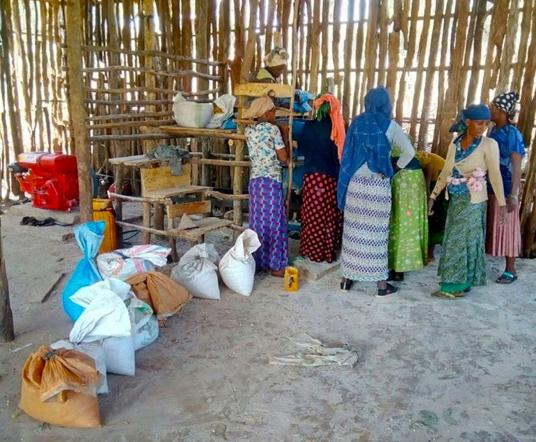 Ethiopia Limu 2 Washed - 33832 - GrainPro Bags - SPOT RCWHSE