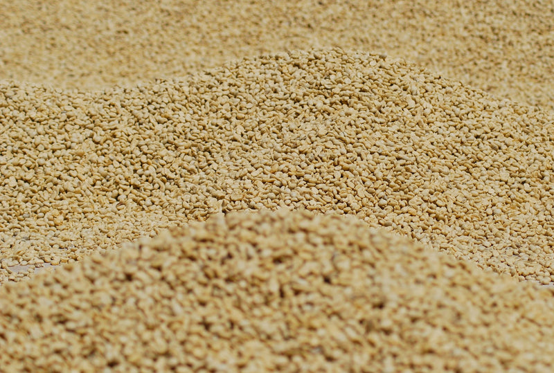 Ethiopia Sidamo 2 Washed Dara - 31677 - GrainPro Bags - SPOT RCWHSE