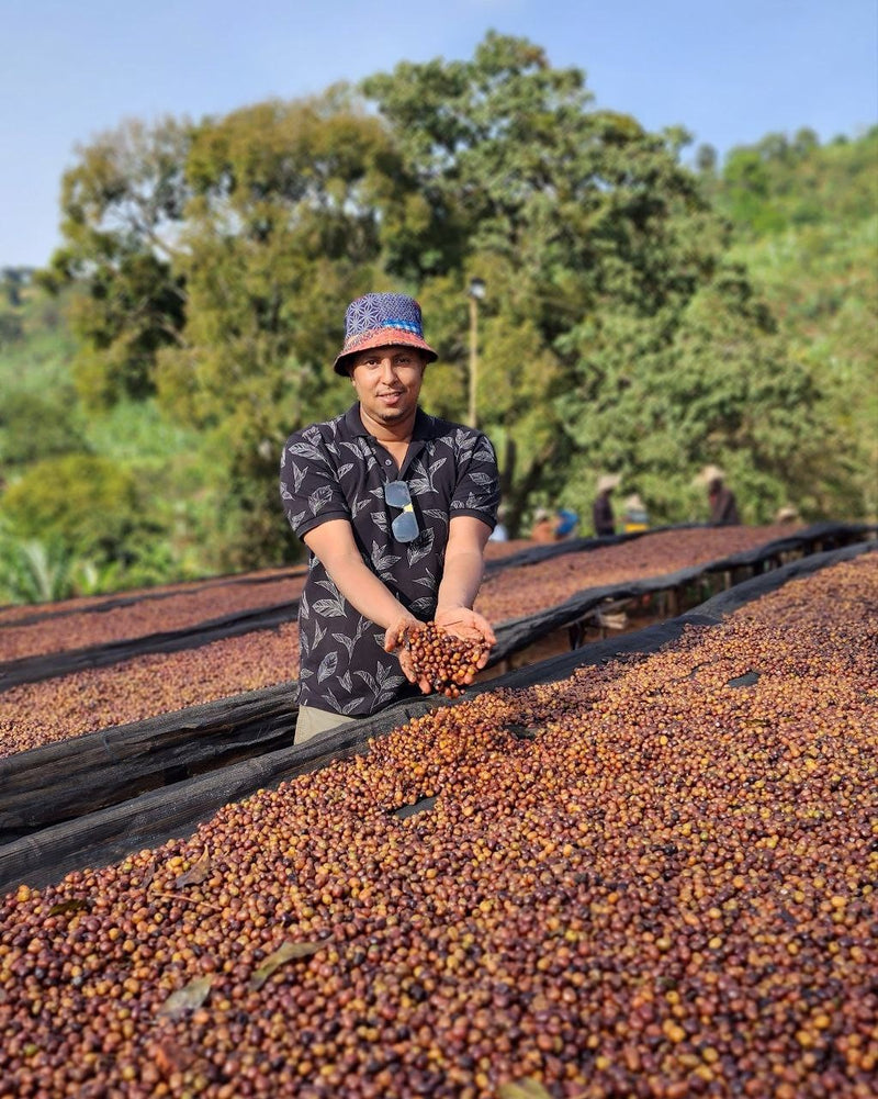 Ethiopia Yirgacheffe 1 Natural Anaerobic Banko Taratu - 31675 - GrainPro Bags - SPOT RCWHSE