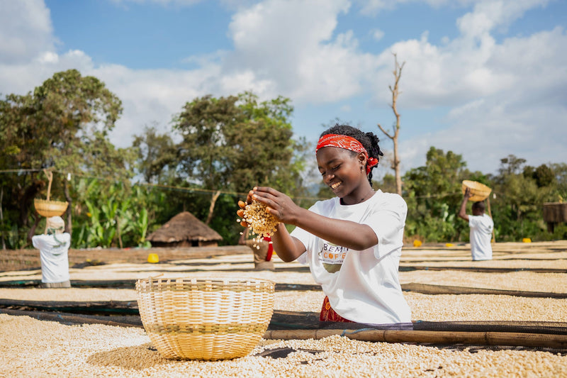 Ethiopia Yirgacheffe 1 Washed Banko Taratu - 31676 - GrainPro Bags - SPOT RCWHSE