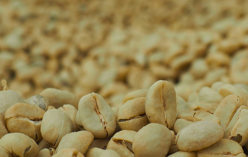 Ethiopia Yirgacheffe 1 Washed Double Ferment Banko Taratu - 39879 - Ecotact Bags - SPOT SHANGHAI