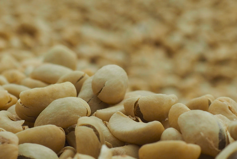 Ethiopia Yirgacheffe 1 Washed Double Ferment Banko Taratu - 39879 - Ecotact Bags - SPOT SHANGHAI