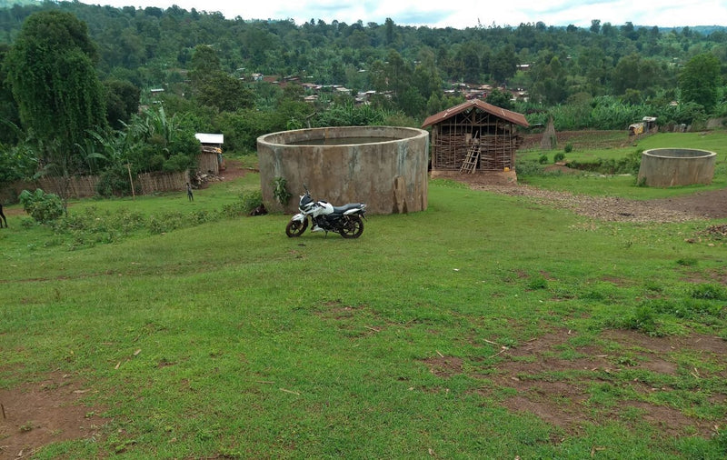 Ethiopia Yirgacheffe Gedeb 1 Washed Daniel Mijane Halo Hartume - 29692 - GrainPro Bags - SPOT RCWHSE