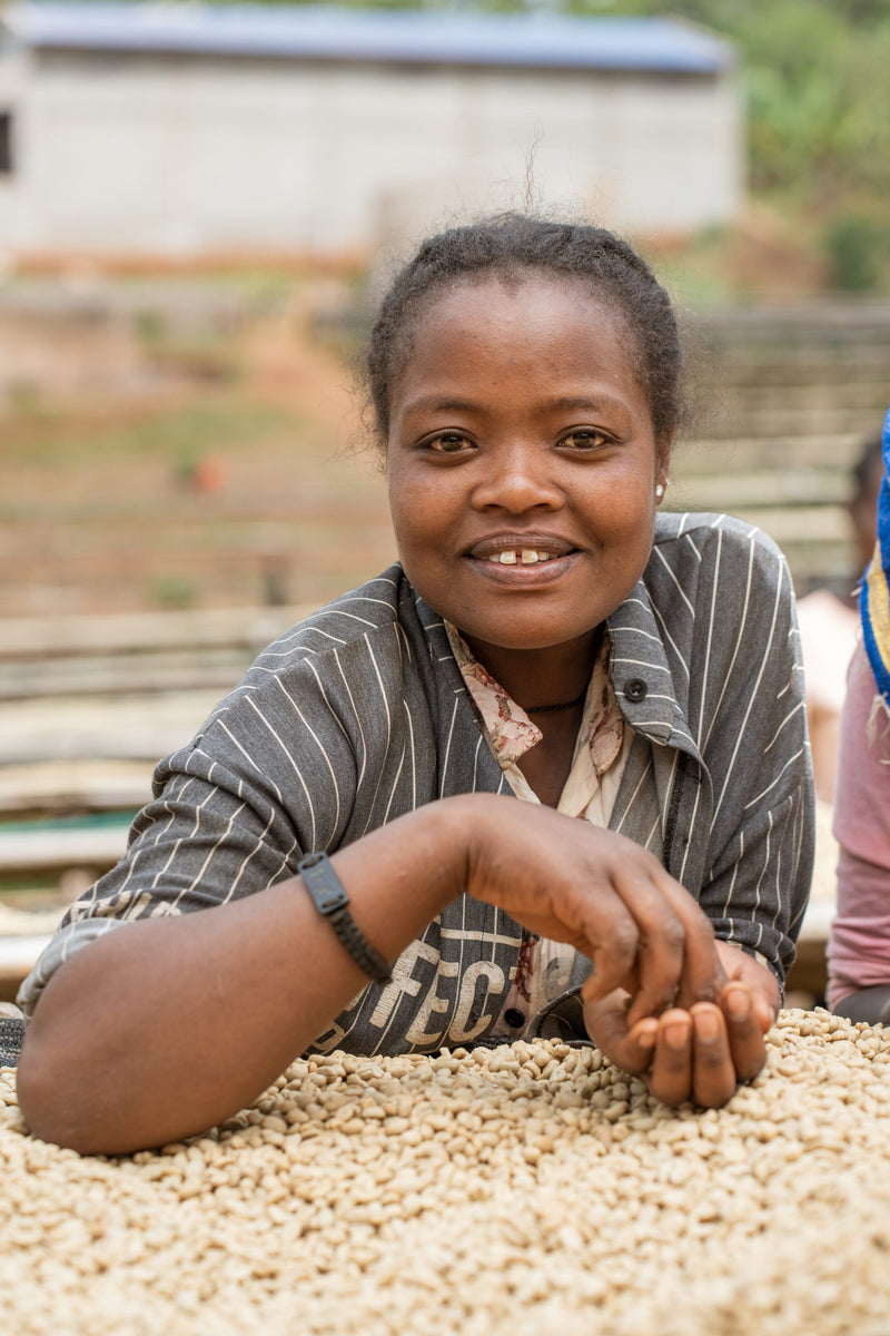 Ethiopia Yirgacheffe 2 Washed Aricha - 33771-1 - GrainPro Bags - SPOT COMIDWEST