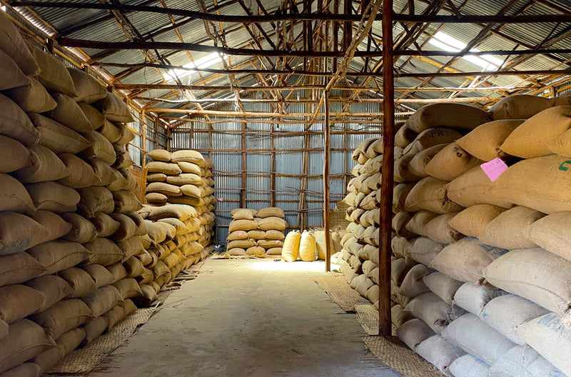 Ethiopia Yirgacheffe Gedeb 1 Washed Banko Gotiti - 33262 - GrainPro Bags - SPOT SHANGHAI