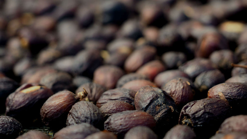 ETHIOPIA YIRGACHEFFE 1 NATURAL ORGANIC ZELELU ARARSO - *50047* - 25866 - GrainPro Bags - SPOT RCWHSE