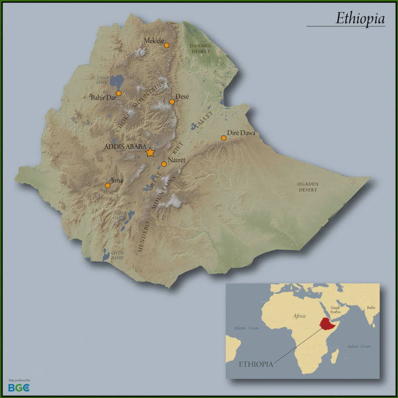 DECAF ETHIOPIA FT-FLO/USA ORGANIC SWISS WATER PROCESS - 36796-2 - 59.9 kg Bags - SPOT RCWHSE