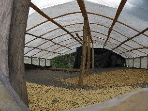 PERU ORGANIC EL LAUREL ELOGIA CARRILLO - 29920 - GrainPro Bags - SPOT RCWHSE