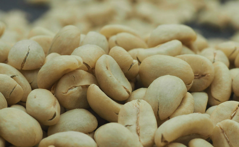 PERU ORGANIC CAJAMARCA AROMAS DEL VALLE SHB EP 85+ - 28444-2 - GrainPro Bags - SPOT COSEATAC