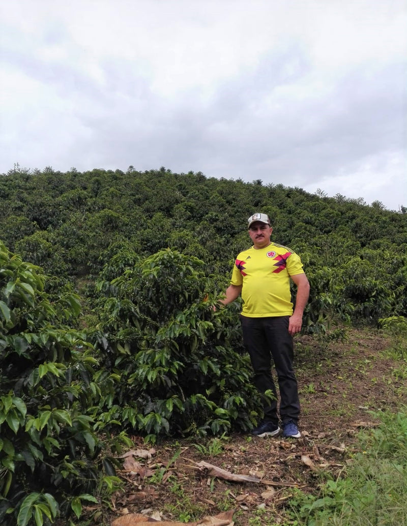 Colombia Huila Buena Vista Natural - *51677* - 25635 - 70.3 kg GrainPro Bags - SPOT RCWHSE