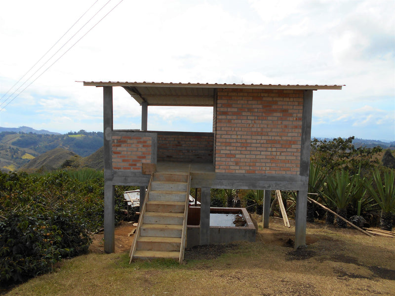 Colombia Cauca El Tambo Finca Tabaquillo - 32966 - 70.2 kg GrainPro Bags - SPOT RCWHSE
