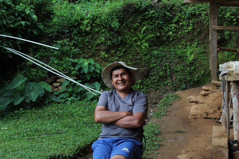 PERU ORGANIC AMAZONAS LONYA GRANDE  - 36974 - SPOT RCWHSE