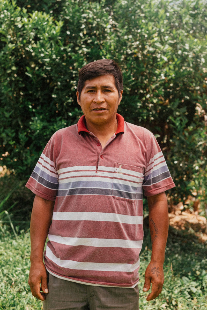Bolivia Irupana Fausto Machaca - *52010* - 27101 - GrainPro Bags - SPOT RCWHSE