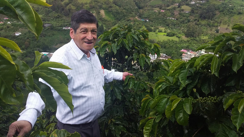 Colombia Narino San Pablo AA - *51420* - 24964 - GrainPro Bags - SPOT RCWHSE