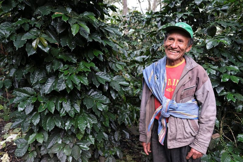 Peru Farmgate Juihuay/Umapata Blend - 29805 - GrainPro Bags - SPOT RCWHSE