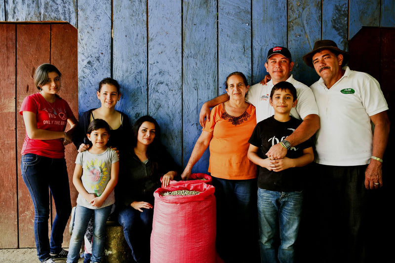 NICARAGUA ORGANIC FINCA EL PASTORAL NATURAL SHG EP - *52826* - 27956-1 - GrainPro Bags - SPOT COSEATAC