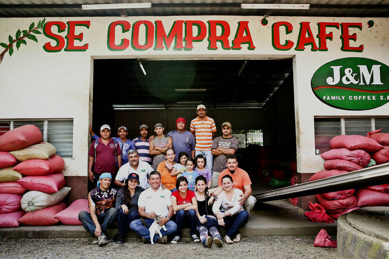 NICARAGUA ORGANIC FINCA EL PASTORAL NATURAL SHG EP - *52826* - 27956-1 - GrainPro Bags - SPOT COSEATAC