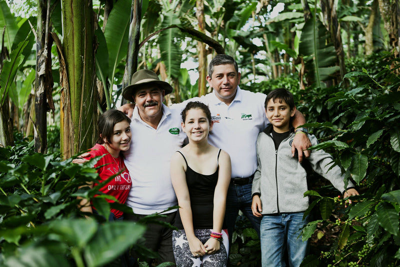 NICARAGUA ORGANIC FINCA EL PASTORAL SHG EP - 37239 - Ecotact Bags - SPOT SEAFORTH