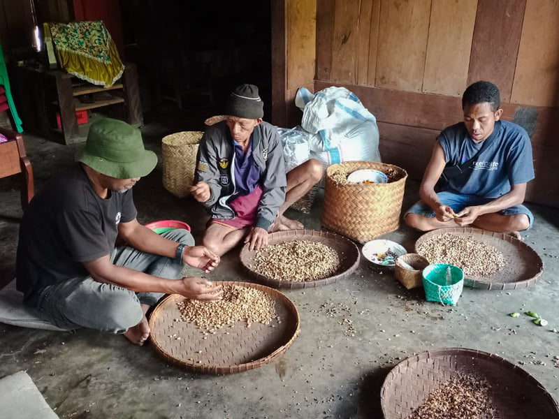 Flores Lujang Fine Robusta - 38239 - GrainPro Bags - SPOT RCWHSE