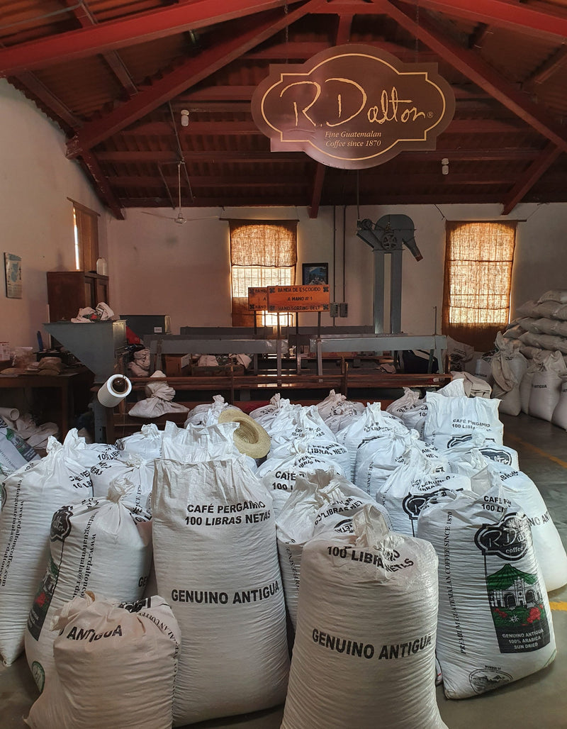 Guatemala Antigua Finca Filadelfia SHB EP - 29476 - 69.8 kg Bags - SPOT COSEATAC