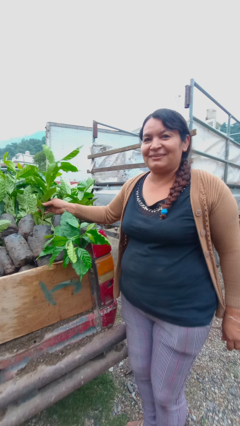 GUATEMALA FT-FLO/USA ORGANIC HUEHUETENANGO CAFE DE MUJERES SHG EP - 34398 - Ecotact Bags - SPOT RCWHSE