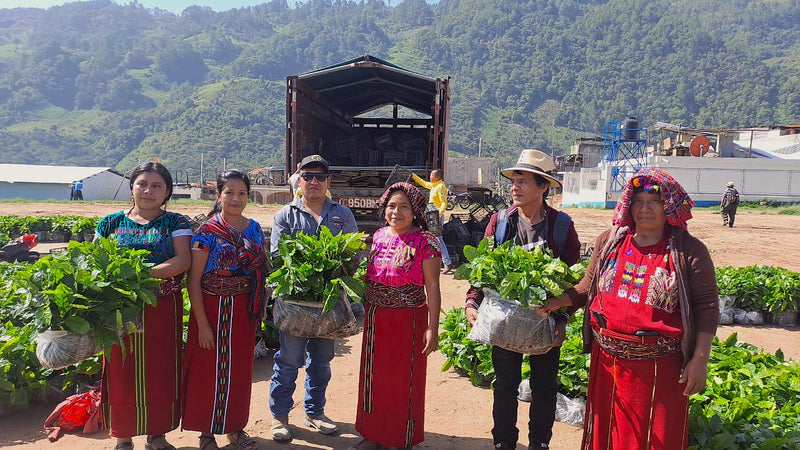 GUATEMALA FT-USA ORGANIC HUEHUETENANGO ASOBAGRI MANOS DE MUJER - 35600 - Ecotact Bags - SPOT RCWHSE
