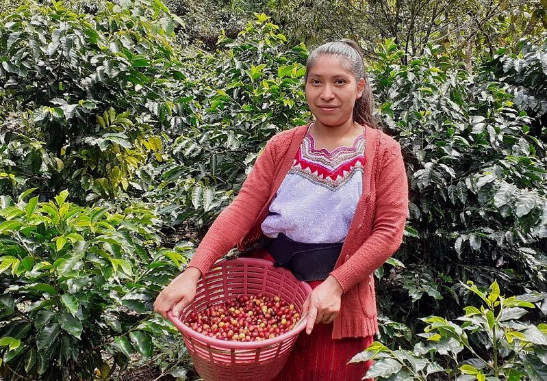 GUATEMALA FT-USA ORGANIC HUEHUETENANGO ASOBAGRI MANOS DE MUJER - 35600 - Ecotact Bags - SPOT RCWHSE