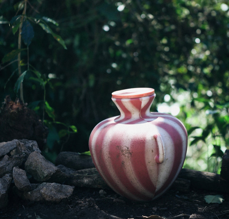 GUATEMALA FT-FLO ORGANIC SMITHSONIAN BIRD FRIENDLY HUEHUETENANGO ASOBAGRI SHB EP - 30284 - Ecotact Bags - SPOT RCWHSE