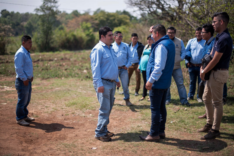 GUATEMALA ORGANIC ACATENANGO ASPROGUATE SHB EP 83+ - 30925-3 - GrainPro Bags - SPOT COSEATAC