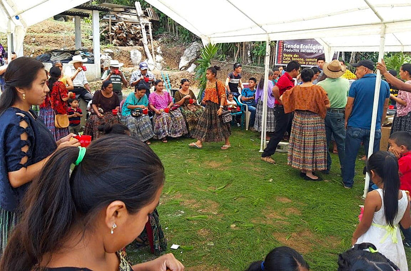 GUATEMALA ORGANIC COBAN ASOKAPE SHB EP - 34406 - Ecotact Bags - SPOT RCWHSE