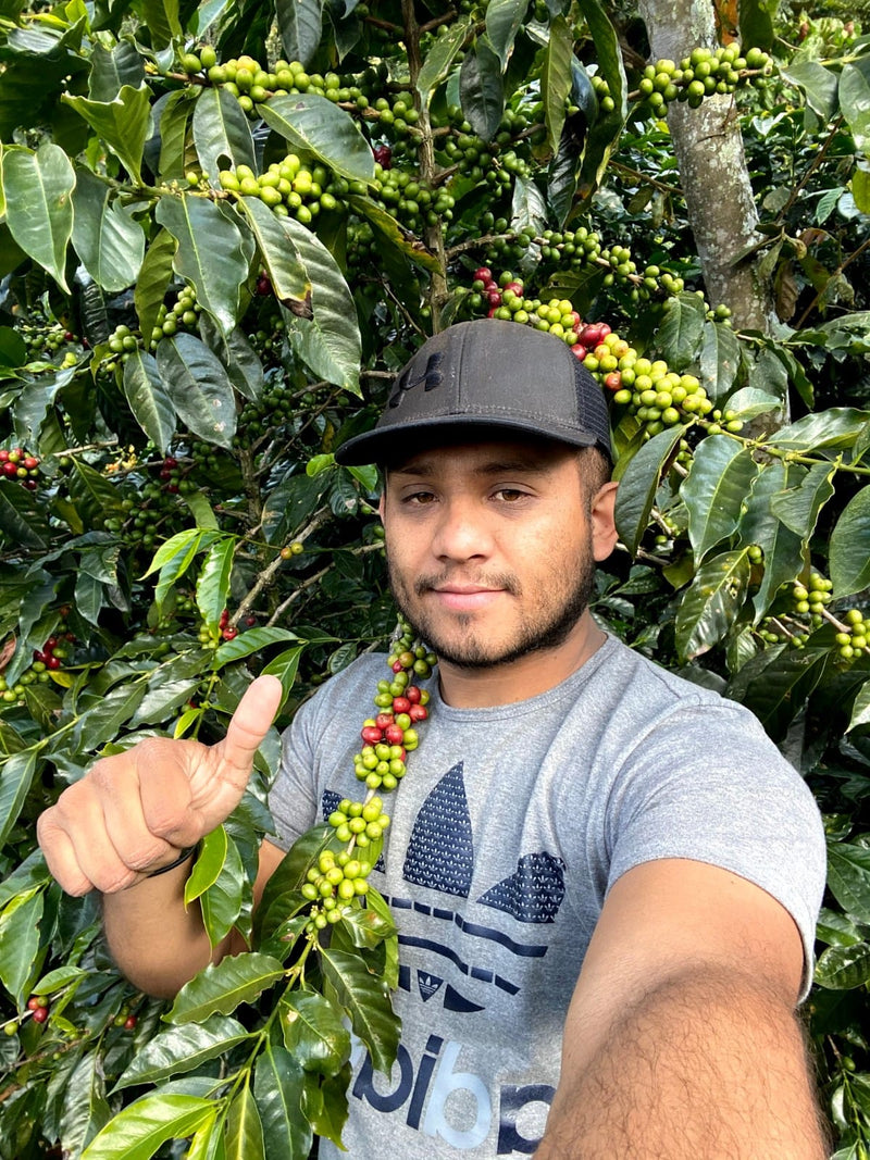 Guatemala San Miguel Flora Blend - LOT 1 - 28842 - Ecotact Bags - SPOT RCWHSE