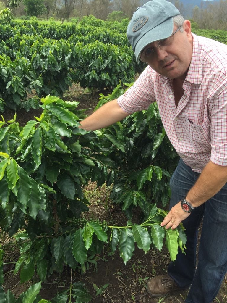 Guatemala San Miguel Flora Blend - LOT 1 - 28842 - Ecotact Bags - SPOT RCWHSE