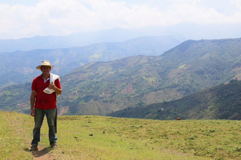 Colombia Cauca La Sierra AA - *51423* - 24957 - GrainPro Bags - SPOT RCWHSE