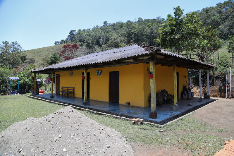 Colombia Cauca La Sierra AA - *51423* - 24957 - GrainPro Bags - SPOT RCWHSE