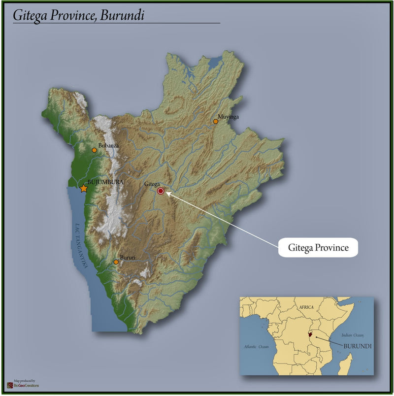 Burundi Gitega Mugano - 30437-1 - GrainPro Bags - SPOT RCWHSE