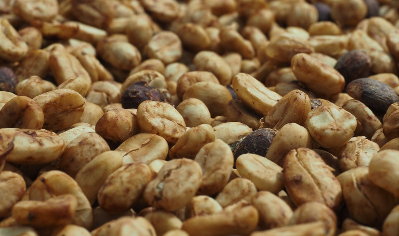Bolivia Irupana Grober Mamani Honey - *52012* - 27100-2 - GrainPro Bags - SPOT RCWHSE