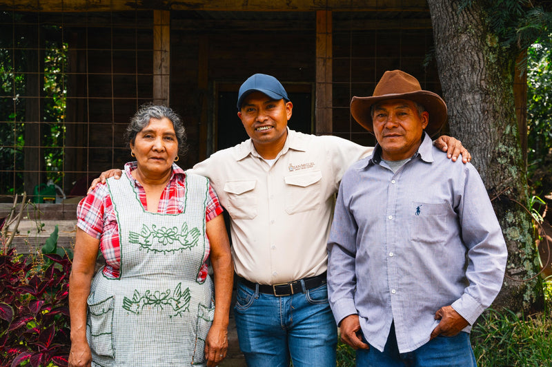 Guatemala Antigua Finca El Destello Bourbon - 31734 - Ecotact Bags - SPOT RCWHSE