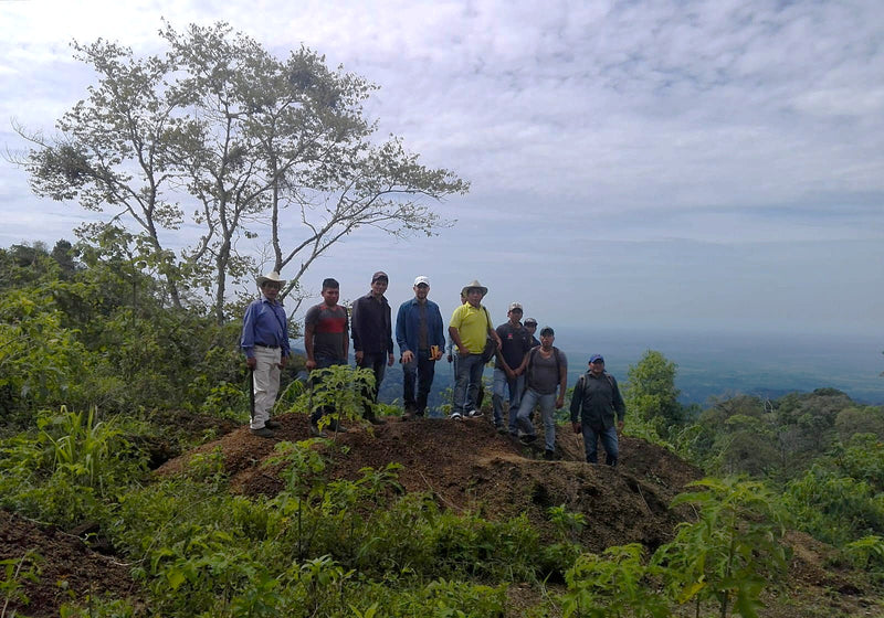 Guatemala Atitlan AAPOSA SHB EP - 37079 - Ecotact Bags - SPOT RCWHSE