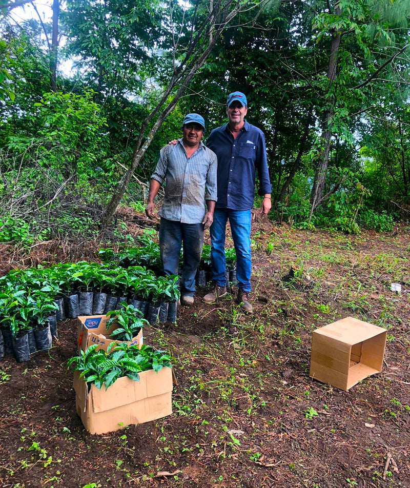 Guatemala Atitlan Finca Santa Victoria - 31732 - Ecotact Bags - SPOT RCWHSE