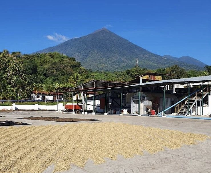 Guatemala Atitlan Finca Santo Tomas SHB - 36787 - Ecotact Bags - SPOT RCWHSE