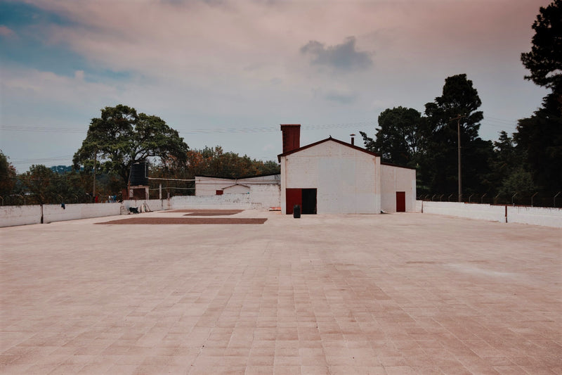 Guatemala Dinamica Finca La Labor - *50735* - 25558 - GrainPro Bags - SPOT RCWHSE