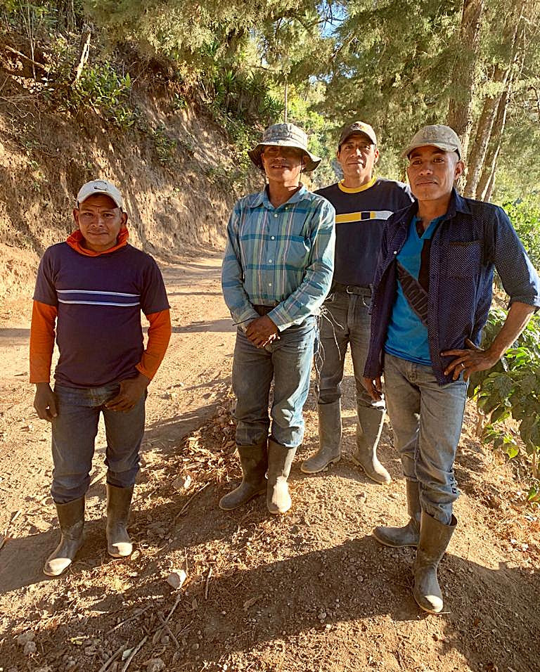 Guatemala Fraijanes Finca Fatima SHB EP - 36390 - Ecotact Bags - SPOT RCWHSE