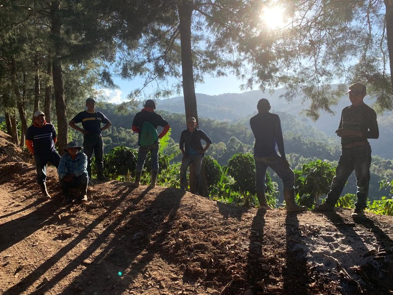 Guatemala Fraijanes Finca Fatima SHB EP - 36390 - Ecotact Bags - SPOT RCWHSE