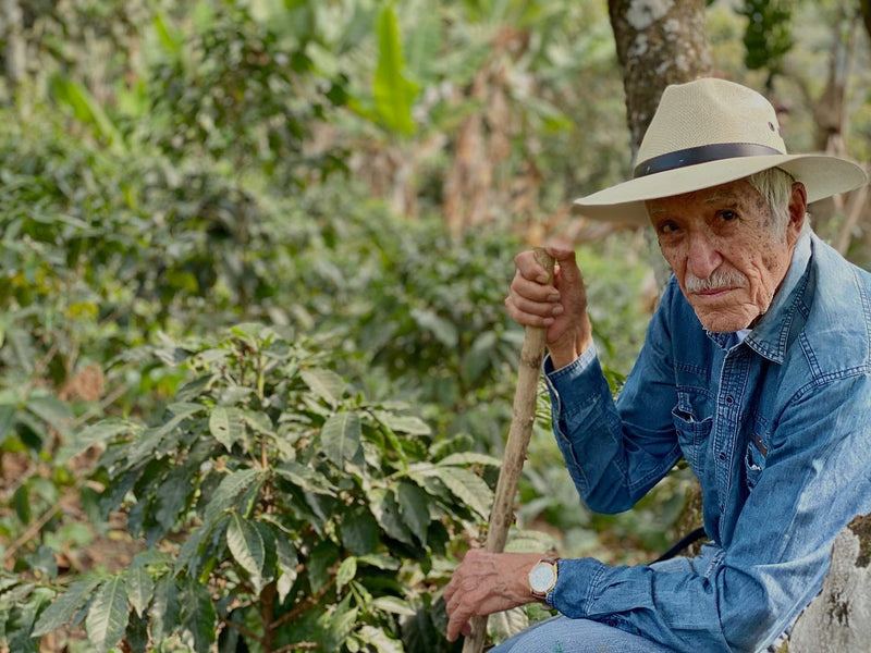 Guatemala Huehuetenango Finca La Severa SHB EP - 33727 - Ecotact Bags - SPOT SEAFORTH