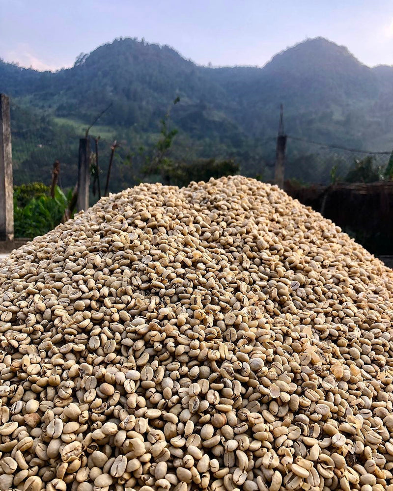 Guatemala Huehuetenango Finca La Severa SHB EP - *52725* - 27523 - Ecotact Bags - SPOT RCWHSE