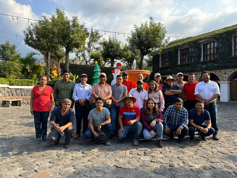 Guatemala Huehuetenango Q'Anil SHB - 33446 - GrainPro Bags - SPOT RCWHSE