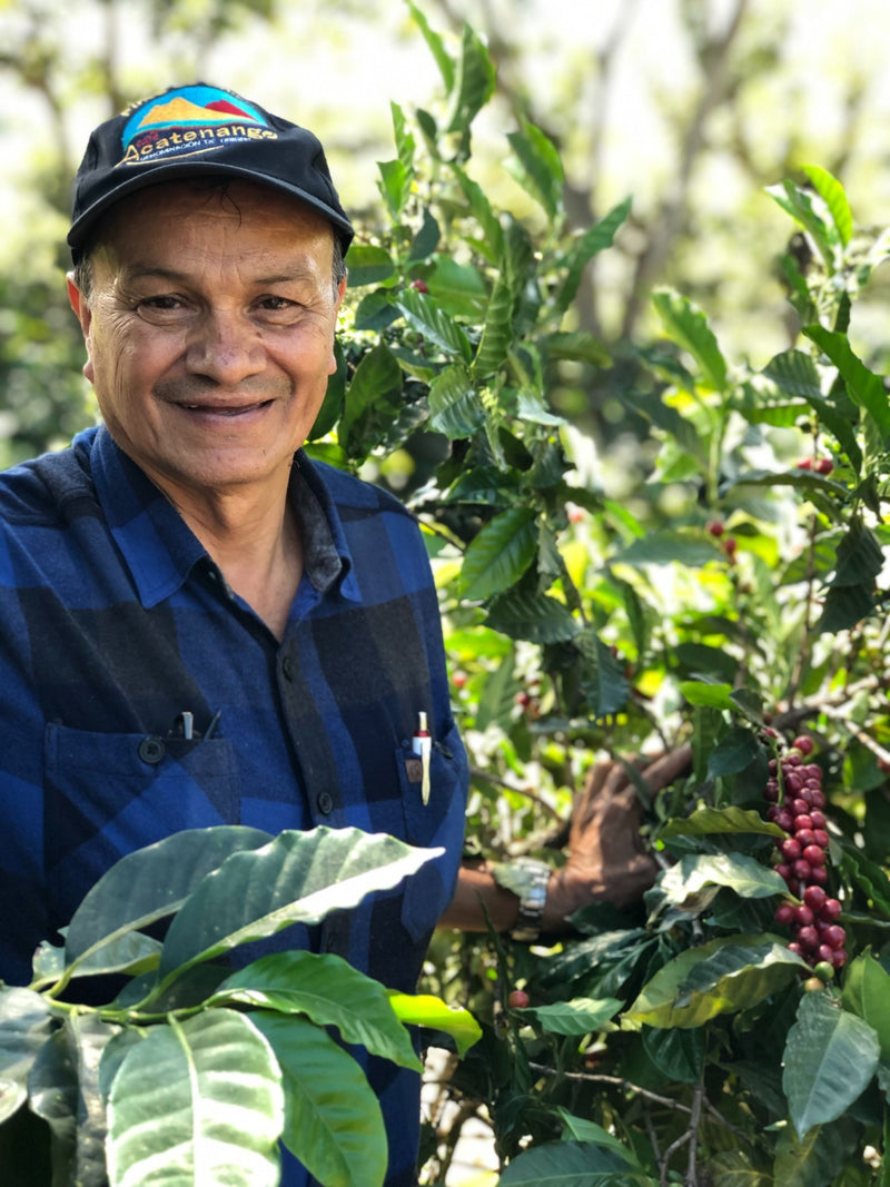Guatemala Acatenango Finca La Union - *50742H* - 27555 - GrainPro Bags - SPOT DUPUYHOU