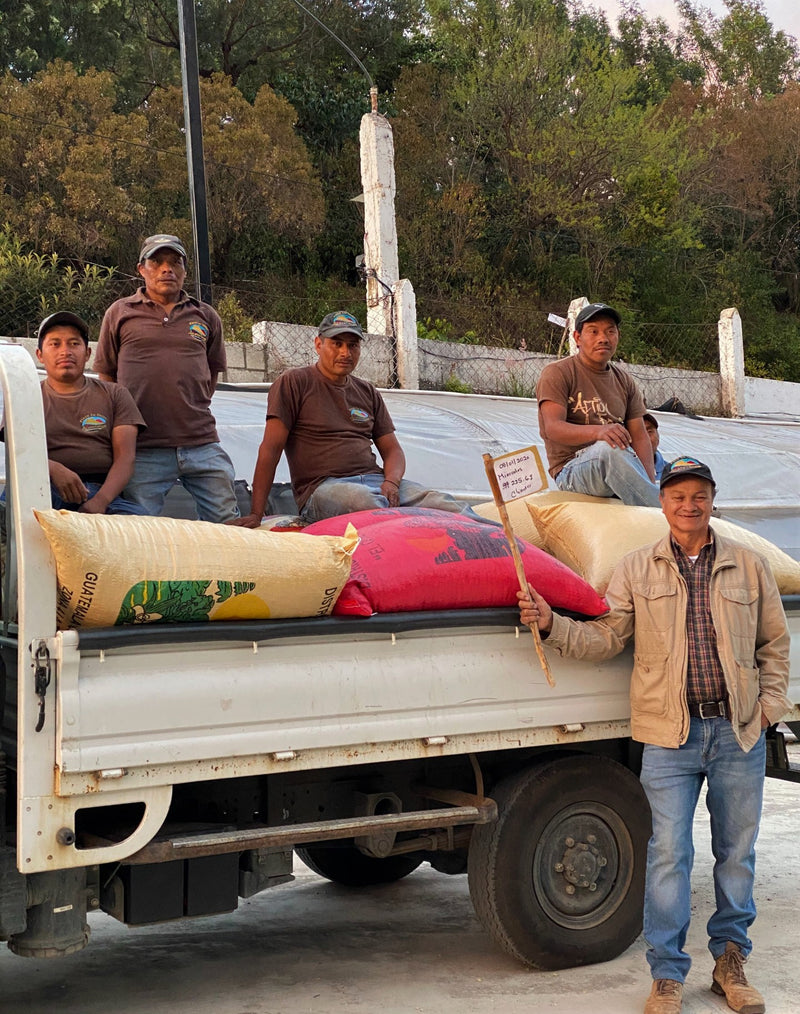 Guatemala Acatenango Finca La Union - *50742H* - 27555 - GrainPro Bags - SPOT DUPUYHOU